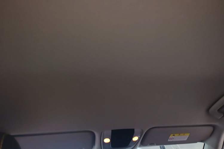 Used Kia Seltos 2023 1.5L CVT Comfort Edition Headliner
