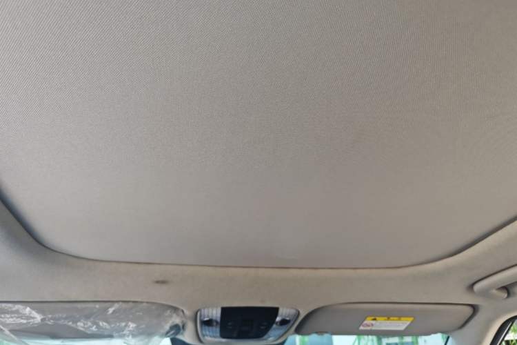 Used Kia Seltos 2023 1.5L CVT Luxury Edition Headliner