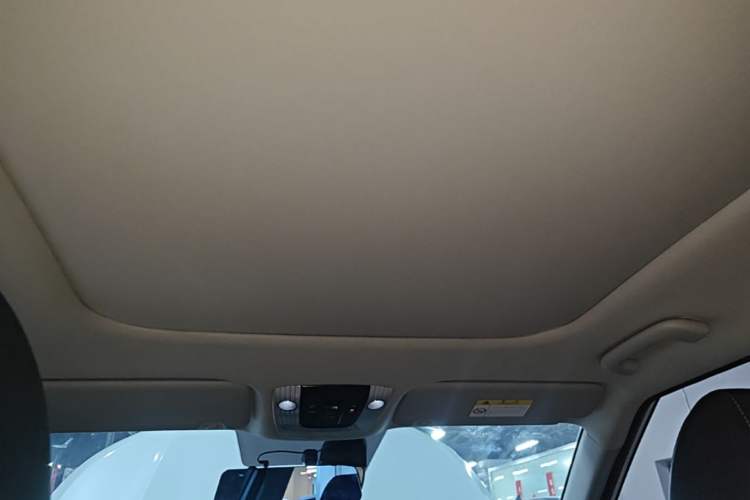Used Kia Seltos 2023 1.5L CVT Luxury Edition Headliner