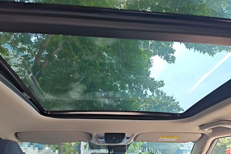 Used Kia Seltos 2023 1.5L CVT Luxury Edition Headliner