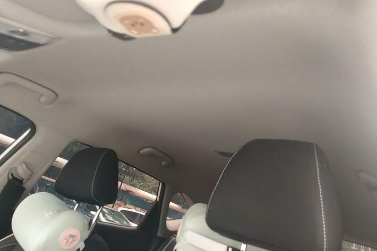 Used Kia Seltos 2023 1.5L CVT Comfort Edition Headliner