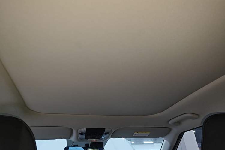 Used Kia Seltos 2023 1.5L CVT Luxury Edition Headliner