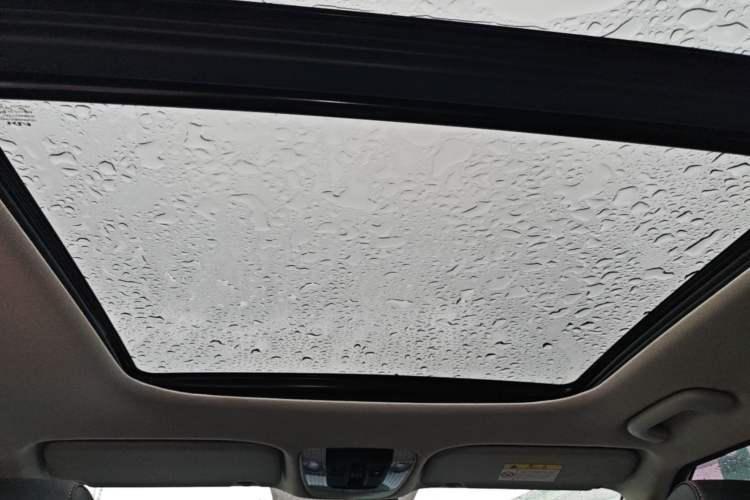 Used Kia Seltos 2023 1.5L CVT Luxury Edition Headliner