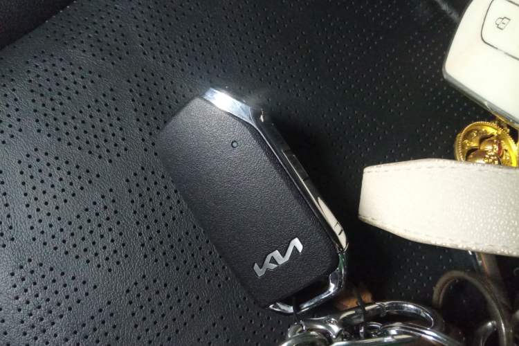 Used Kia Seltos 2023 1.5L CVT Luxury Edition Interior 1
