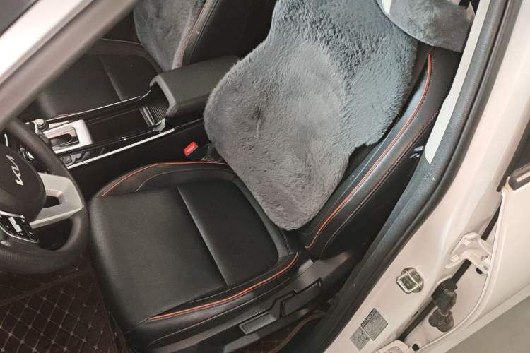 Used Kia Seltos 2023 1.5L CVT Luxury Edition Left Front Seat