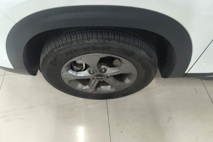 Used Kia Seltos 2023 1.5L CVT Comfort Edition Left Front Wheel Hub
