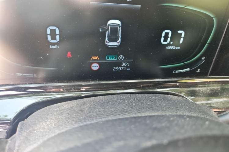 Used Kia Seltos 2023 1.5L CVT Luxury Edition Odometer Close Up