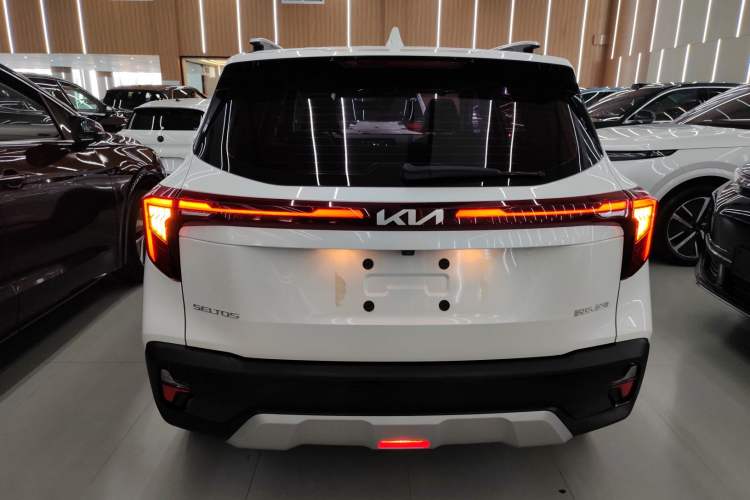 Used Kia Seltos 2023 1.5L CVT Luxury Edition Rear