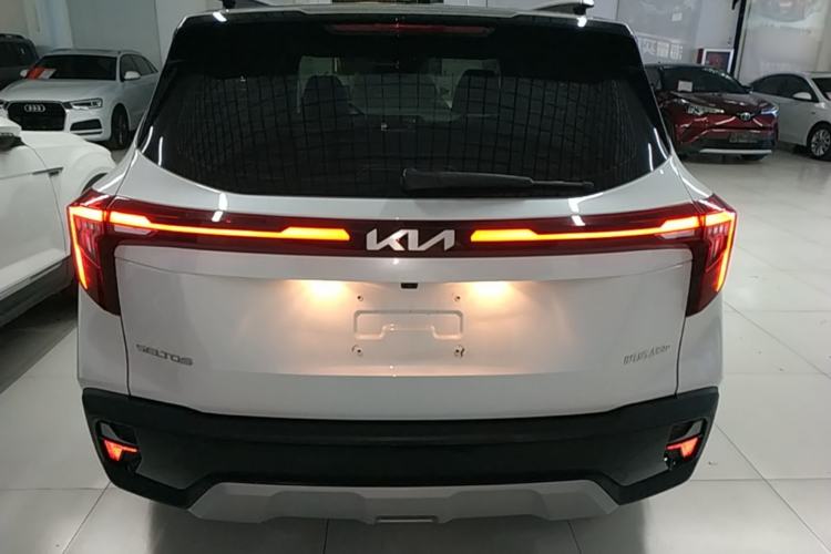 Used Kia Seltos 2023 1.5L CVT Luxury Edition Rear