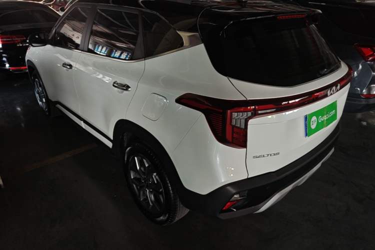 Used Kia Seltos 2023 1.5L CVT Luxury Edition Rear Left 45 Deg