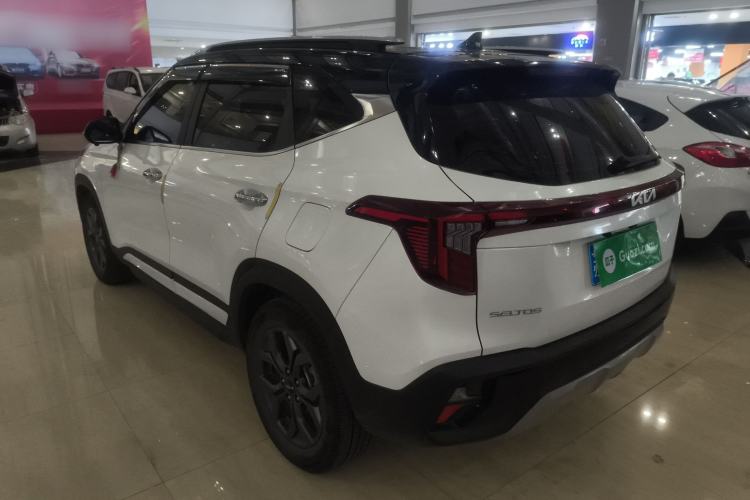 Used Kia Seltos 2023 1.5L CVT Luxury Edition Rear Left 45 Deg