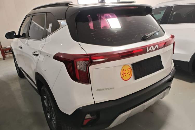 Used Kia Seltos 2023 1.5L CVT Luxury Edition Rear Left 45 Deg
