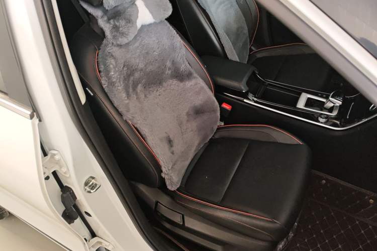 Used Kia Seltos 2023 1.5L CVT Luxury Edition Right Front Seat