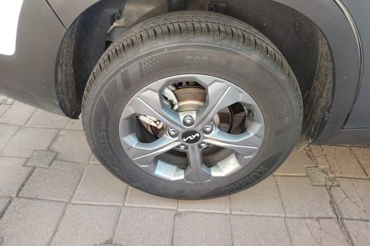 Used Kia Seltos 2023 1.5L CVT Comfort Edition Right Rear Wheel Hub