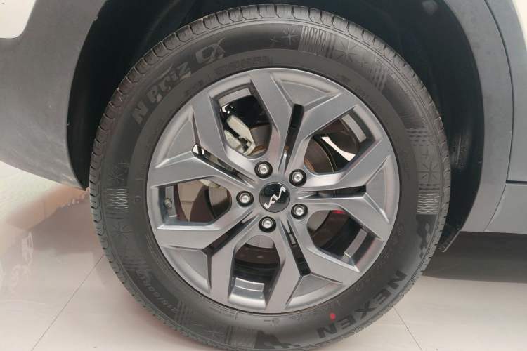 Used Kia Seltos 2023 1.5L CVT Luxury Edition Right Rear Wheel Hub