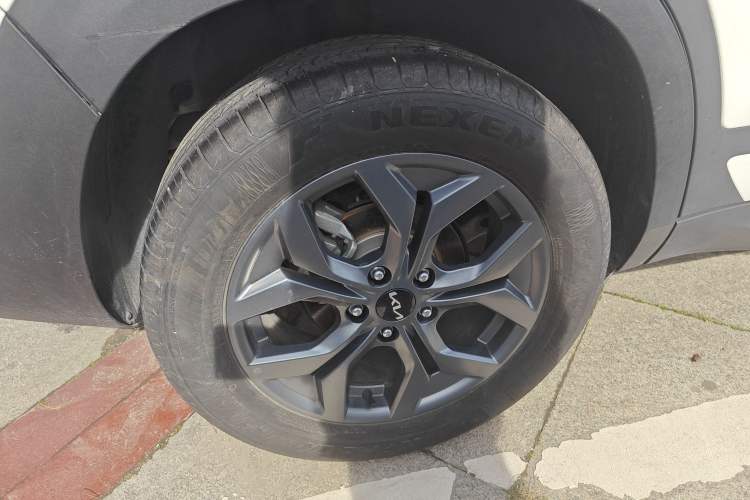 Used Kia Seltos 2023 1.5L CVT Luxury Edition Right Rear Wheel Hub