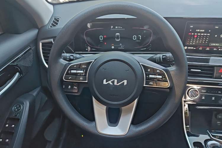 Used Kia Seltos 2023 1.5L CVT Luxury Edition Steering Wheel