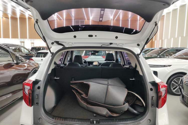 Used Kia Seltos 2023 1.5L CVT Luxury Edition Trunk
