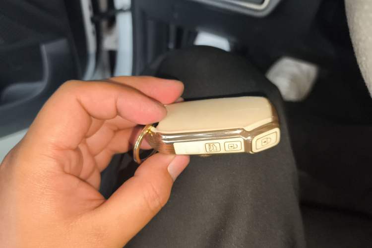 Used Kia Seltos 2023 1.5L CVT Luxury Edition Vehicle Key