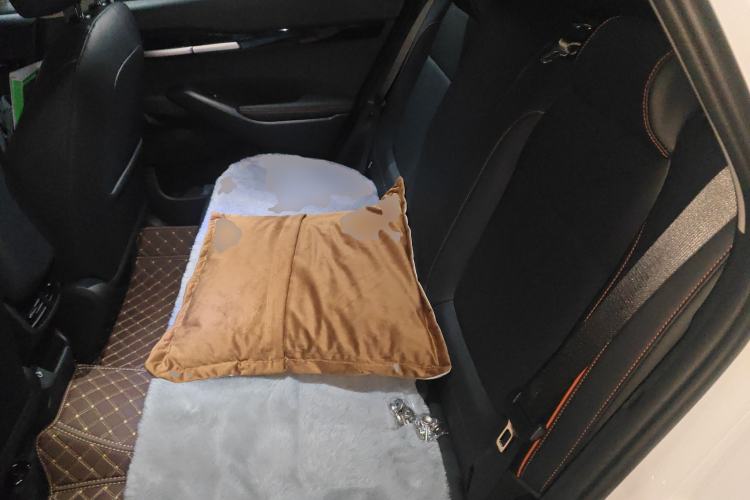 Used Kia Seltos 2026 1.5L IVT Luxury Edition Left Rear Seat
