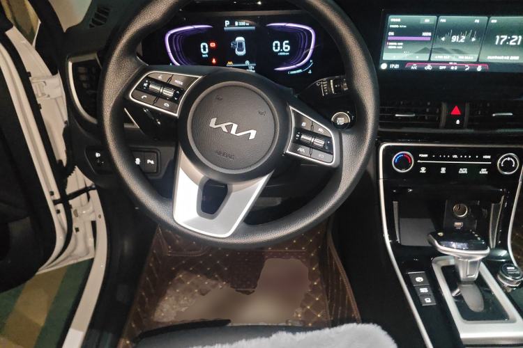 Used Kia Seltos 2026 1.5L IVT Luxury Edition Steering Wheel