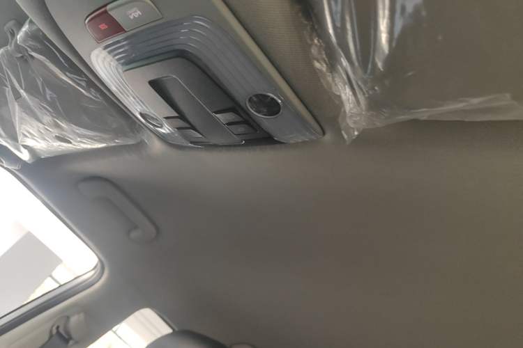 Used Kia Seltos 2026 1.5L IVT Luxury Comfort Edition Headliner
