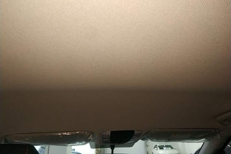 Used Kia Seltos 2026 1.5L IVT Luxury Comfort Edition Headliner