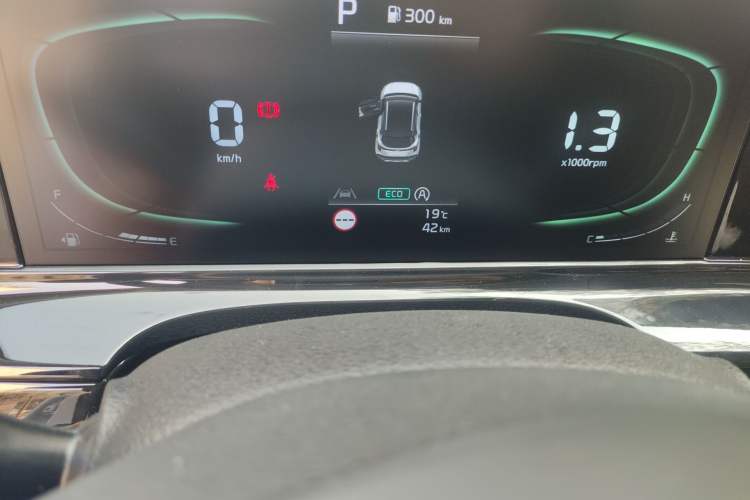 Used Kia Seltos 2026 1.5L IVT Luxury Edition Odometer Close Up