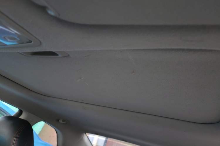 Used Kia Shuma 2010 2.0 AT Luxury Edition Headliner