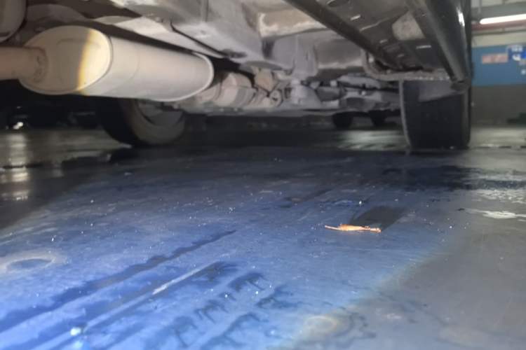 Used Kia Sorento 2012 2.4L Gasoline Comfort Edition Chassis Rear Right