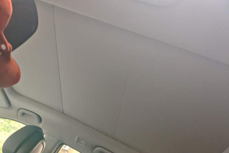 Used Kia Sorento 2013 2.4L 7-seat Gasoline Luxury Edition Headliner