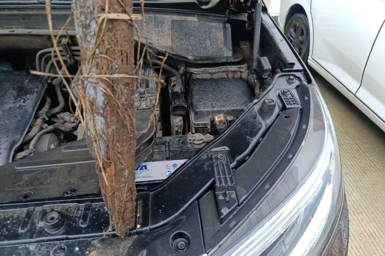 Used Kia Sorento 2013 2.2T 7-Seater Diesel Supreme Edition Engine Bay Left