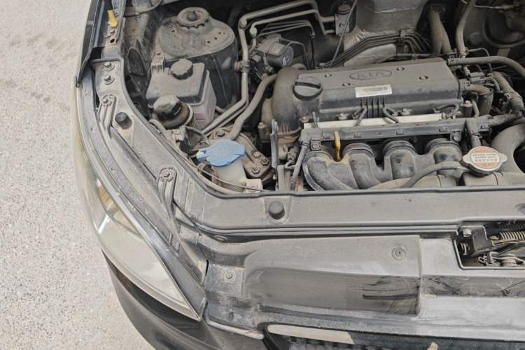 Used Kia Soul 2010 1.6L AT GL Engine Bay Right