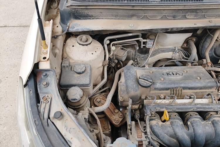 Used Kia Soul 2010 1.6L AT Premium Engine Bay Right
