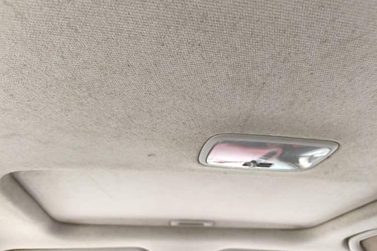 Used Kia Soul 2010 1.6L AT Premium Headliner