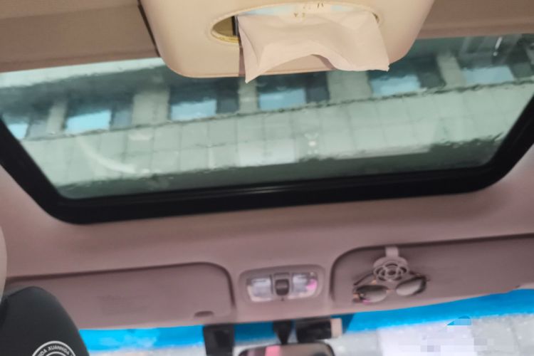 Used Kia Soul 2010 1.6L AT Premium Headliner