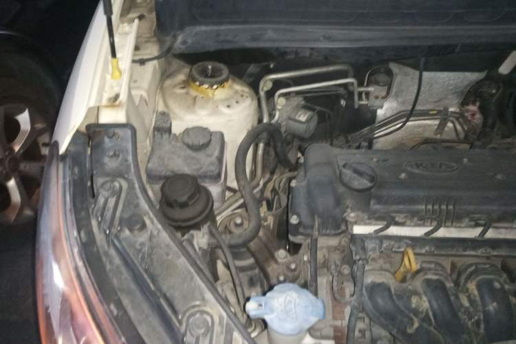 Used Kia Soul 2010 1.6L MT GL Engine Bay Right