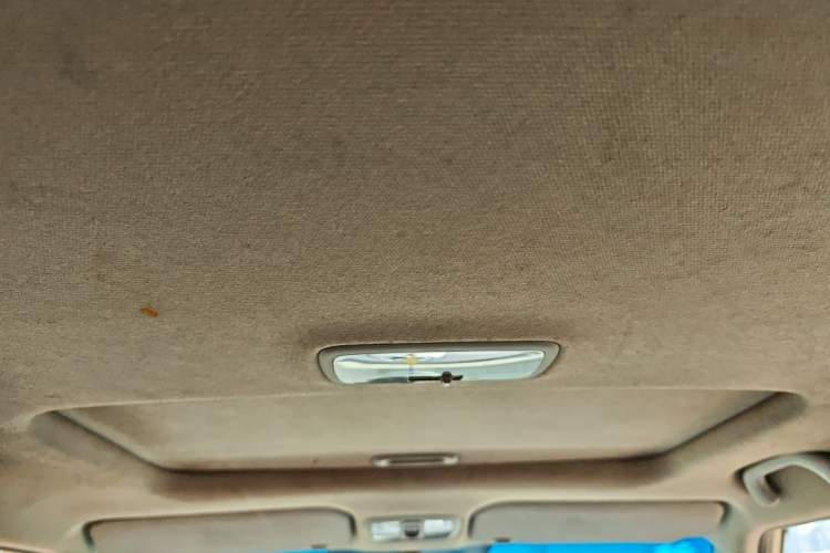 Used Kia Soul 2010 1.6L AT GLS Headliner