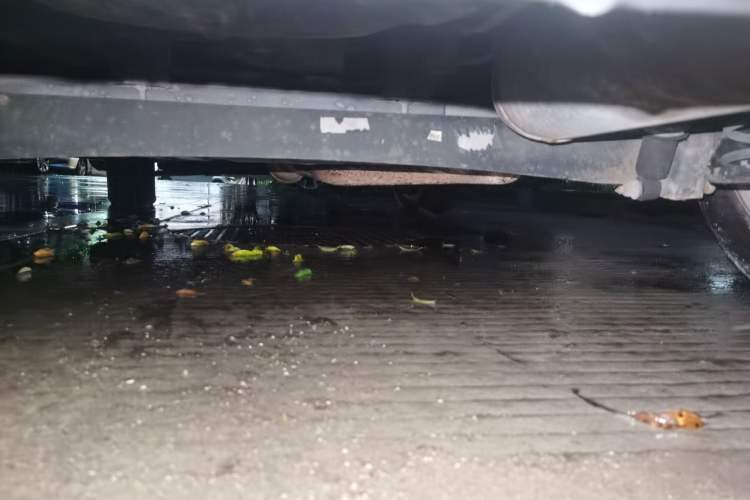 Used Kia Soul 2012 1.6L MT GL Chassis Rear