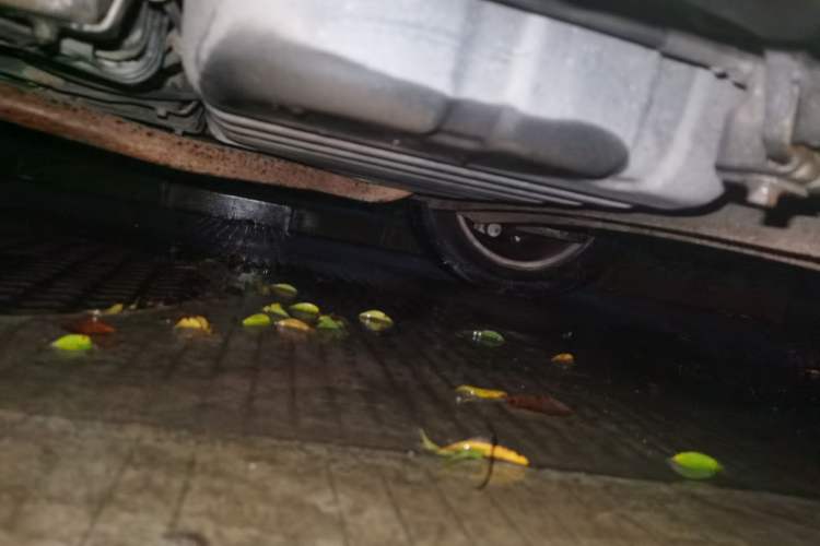Used Kia Soul 2012 1.6L MT GL Chassis Rear Left