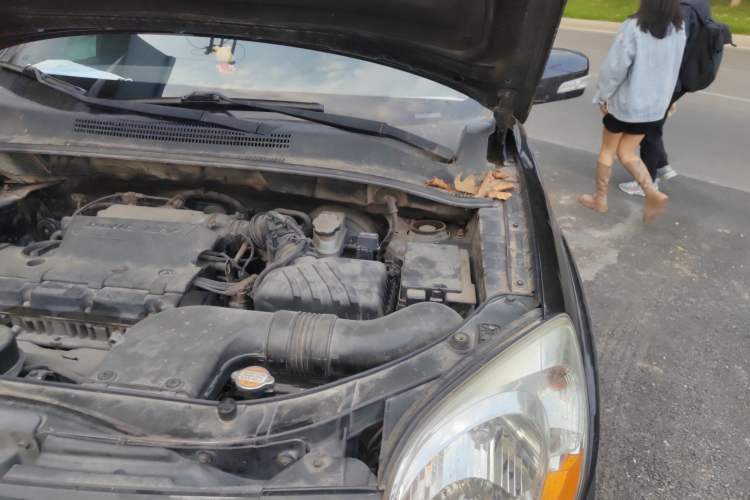 Used Kia Sportage 2009 2.0L Manual Two-Wheel-Drive GLS Engine Bay Left