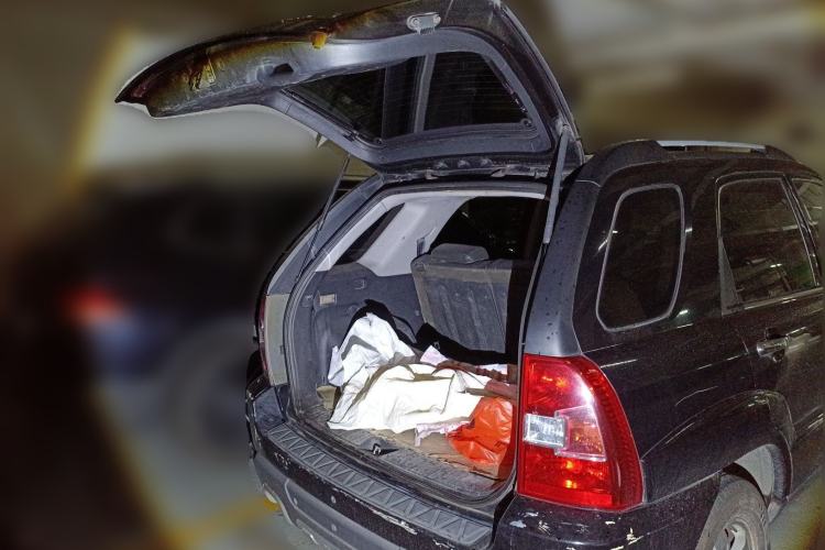 Used Kia Sportage 2009 2.0L Manual Two-Wheel-Drive GLS Trunk