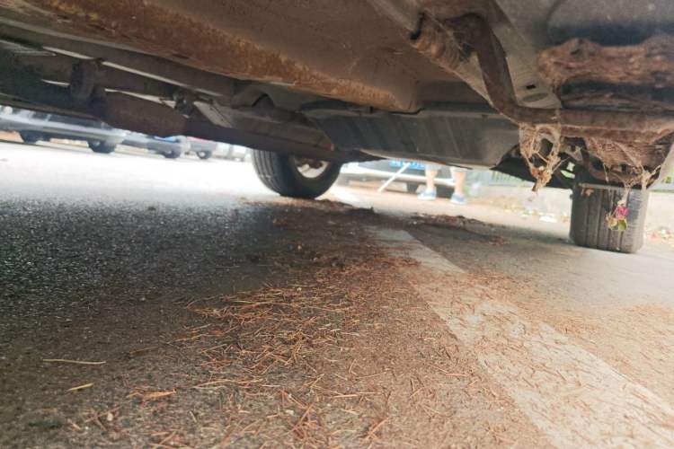 Used Kia Sportage 2009 2.0L Manual Two-Wheel-Drive GLS Chassis Front Left
