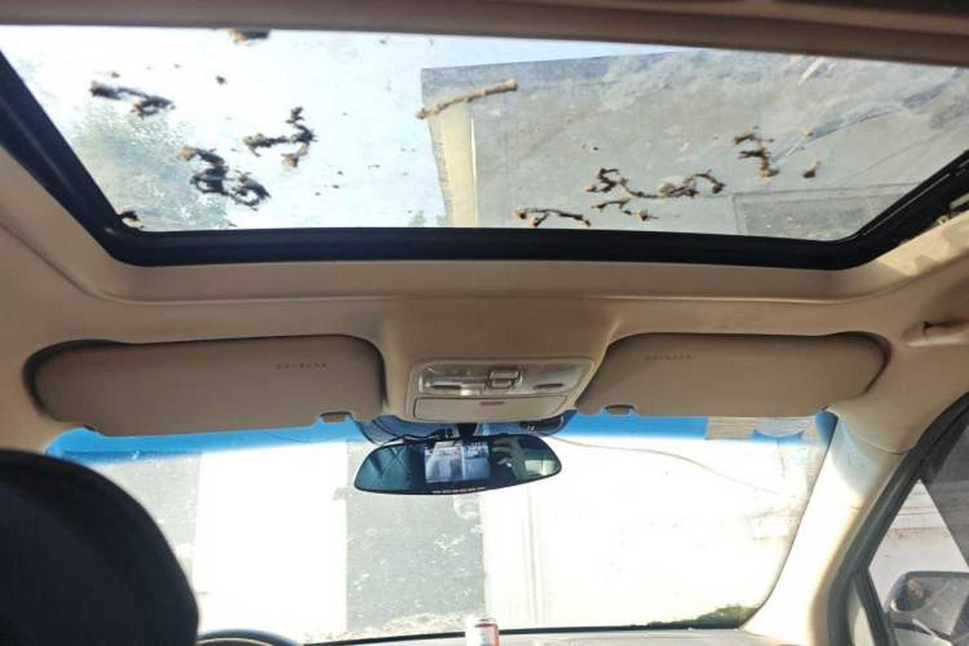 Used Kia Sportage 2011 2.0L Automatic Two-Wheel Drive GL Headliner