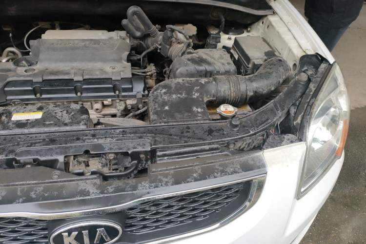 Used Kia Sportage 2012 2.0L Manual Two-Wheel Drive GLS Engine Bay Left