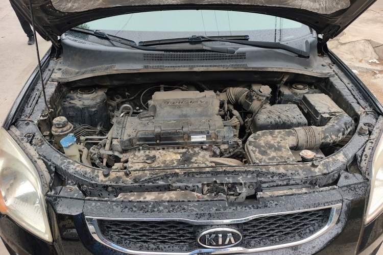 Used Kia Sportage 2013 2.0L Automatic Two-Wheel Drive GL Trim Engine Bay