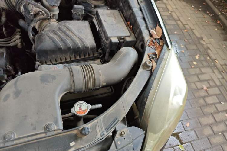 Used Kia Sportage 2013 2.0L Manual Two-Wheel Drive GLS Engine Bay Left