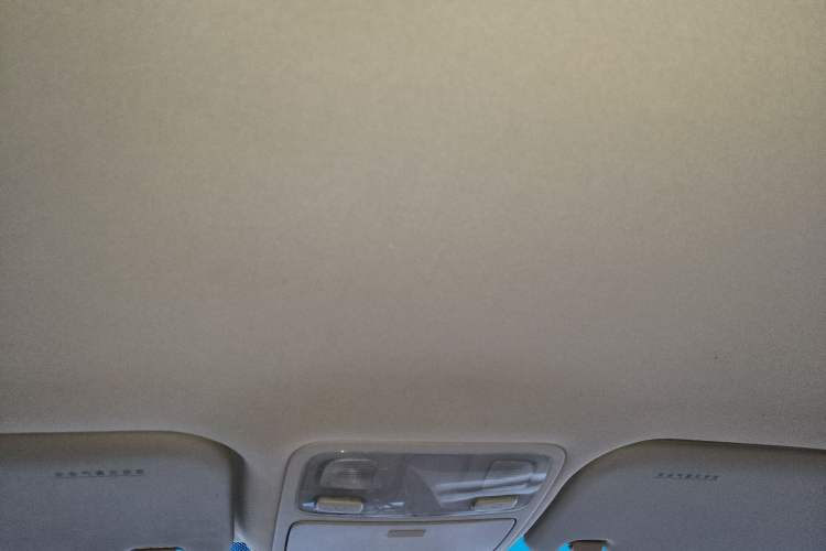 Used Kia Sportage 2013 2.0L Manual Two-Wheel Drive GL Trim Headliner