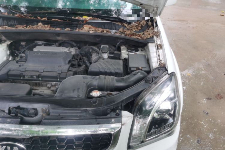 Used Kia Sportage 2013 2.0L Automatic Two-Wheel Drive GL Trim Engine Bay Left