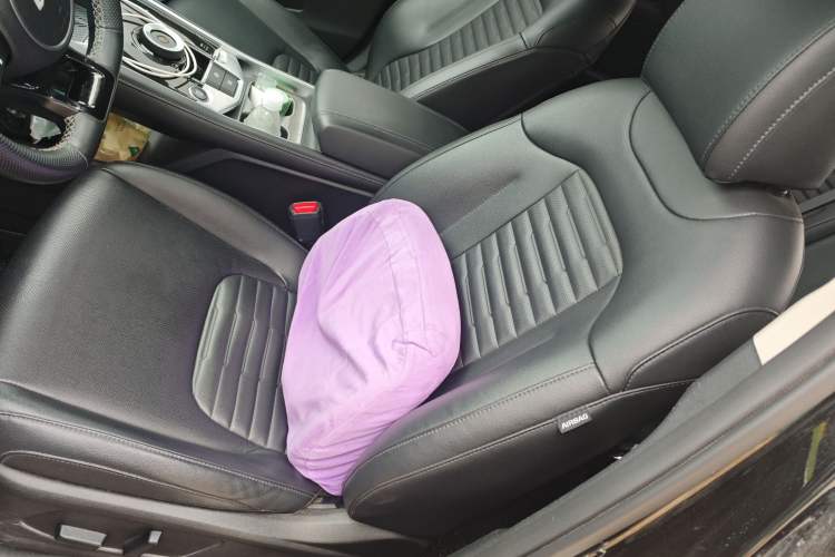 Used Kia Sportage (Chinese Domestic Model) 2023 2.0T Two-Wheel-Drive Prestige Edition Left Front Seat